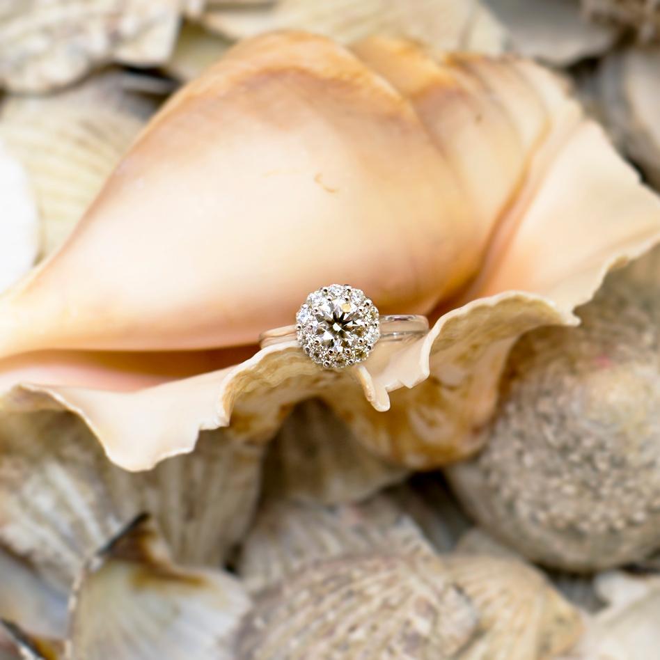 A diamond gift concealed in a shell.